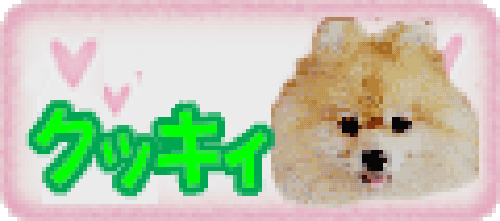 Twnty-sixth Image